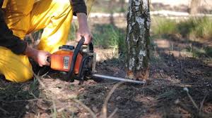 Leaf Removal in Archbold, OH